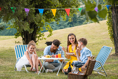 Party Lawn